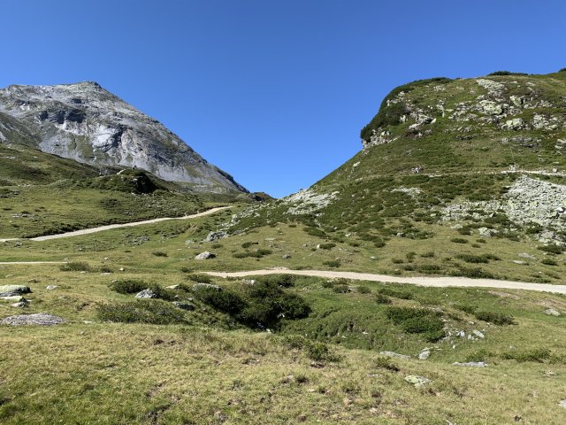 2019 Österreichische Alpen #199