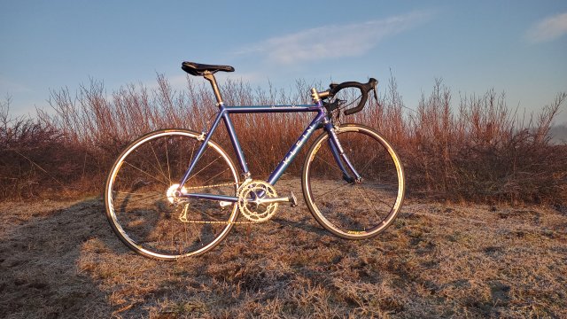 Klein Quantum Race '01 #248