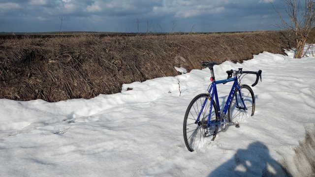 Klein Quantum Race '01 #272