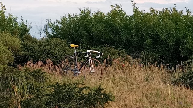 Specialized Epic Pro '92 #148