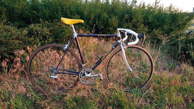 Specialized Epic Pro '92 #163