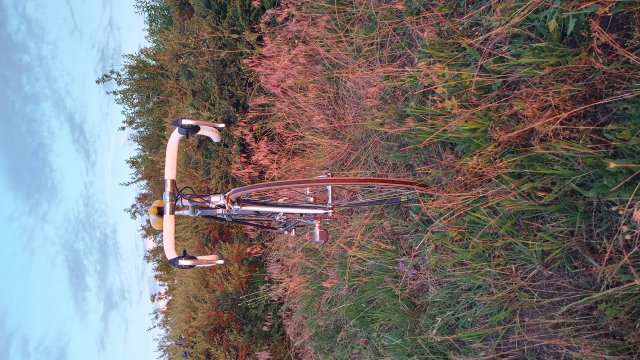 Specialized Epic Pro '92 #166