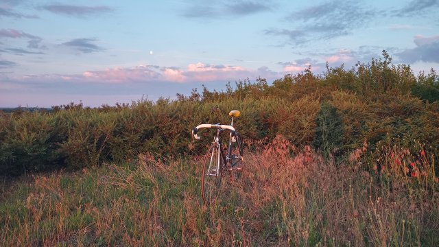 Specialized Epic Pro '92 #167