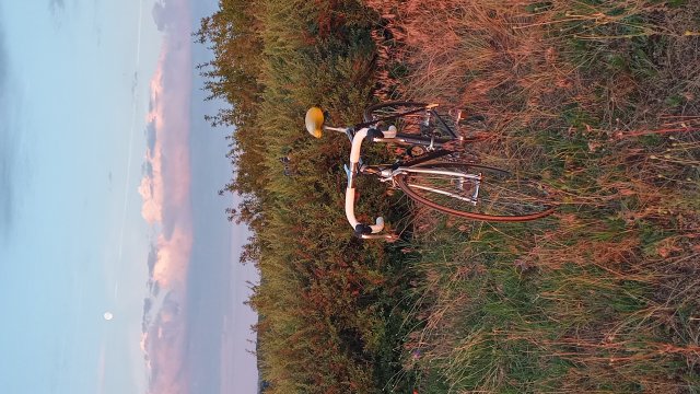 Specialized Epic Pro '92 #168
