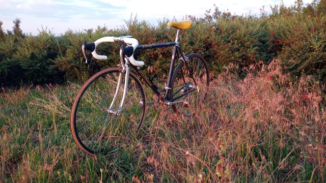 Specialized Epic Pro '92 #169