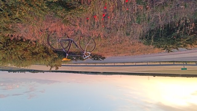Specialized Epic Pro '92 #172