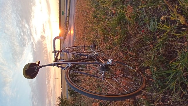Specialized Epic Pro '92 #180