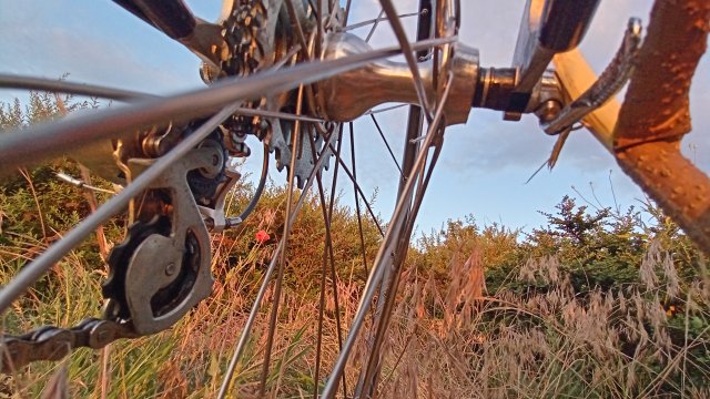 Specialized Epic Pro '92 #223