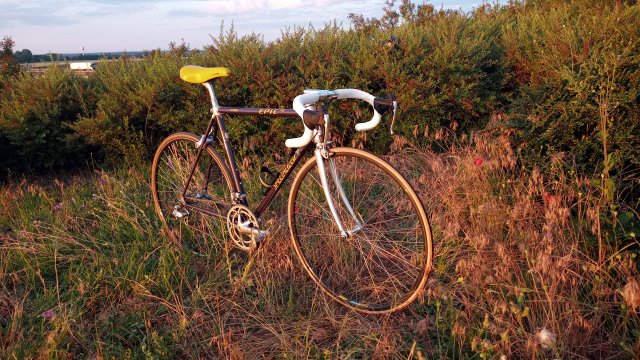 Specialized Epic Pro '92 #248