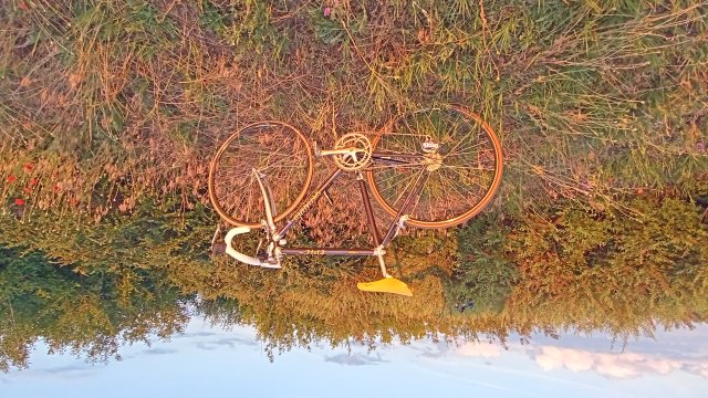 Specialized Epic Pro '92 #246