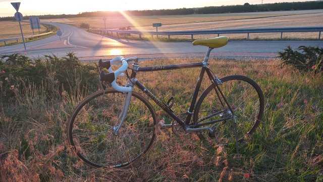 Specialized Epic Pro '92 #251