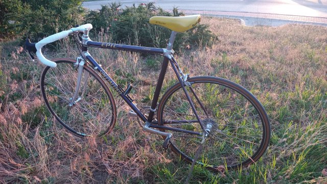Specialized Epic Pro '92 #254