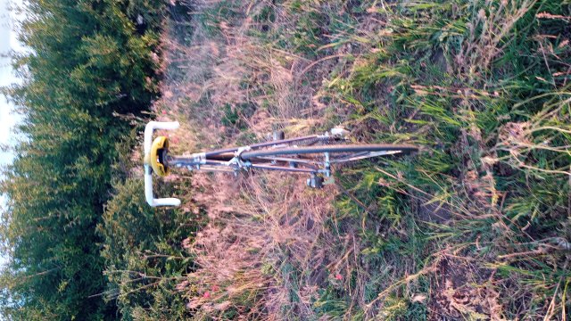 Specialized Epic Pro '92 #256