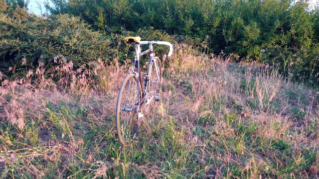 Specialized Epic Pro '92 #257