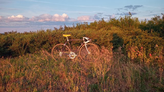 Specialized Epic Pro '92 #259