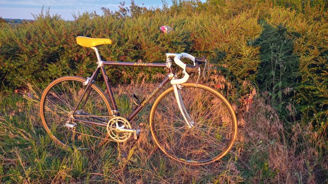 Specialized Epic Pro '92 #260
