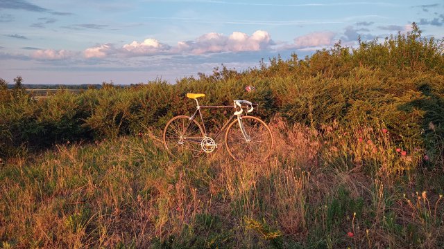 Specialized Epic Pro '92 #262