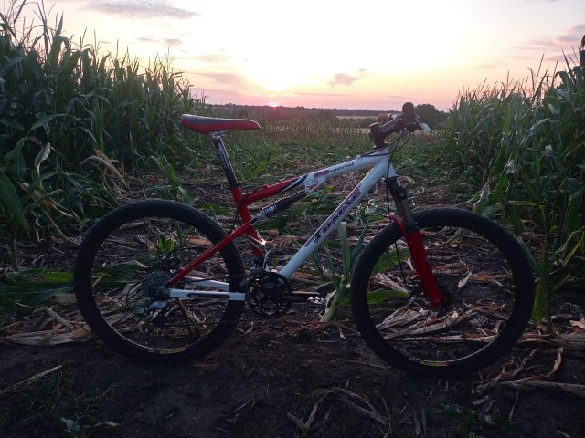 Tomac '98 Special '02 #131