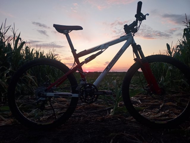 Tomac '98 Special '02 #132