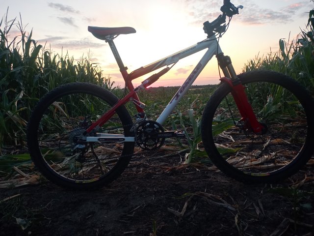 Tomac '98 Special '02 #133