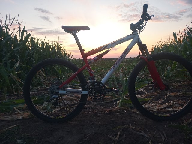 Tomac '98 Special '02 #134