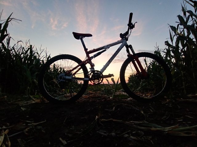 Tomac '98 Special '02 #135