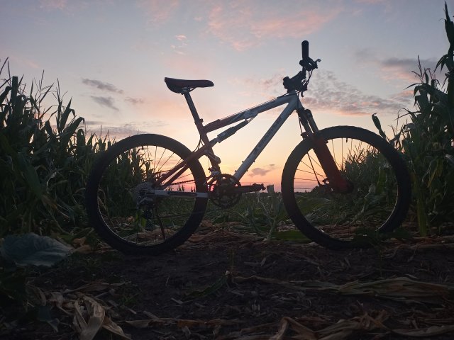 Tomac '98 Special '02 #136