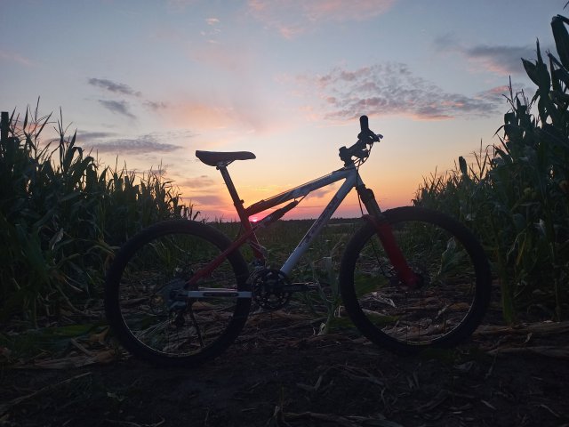 Tomac '98 Special '02 #137