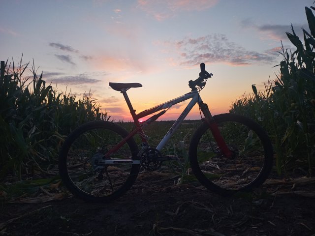 Tomac '98 Special '02 #138