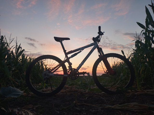 Tomac '98 Special '02 #139