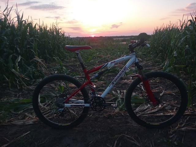 Tomac '98 Special '02 #140