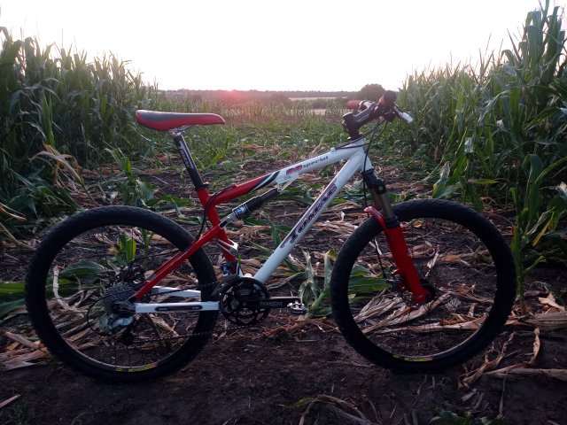 Tomac '98 Special '02 #141