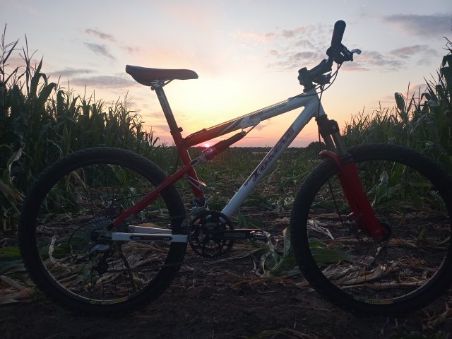 Tomac '98 Special '02 #142