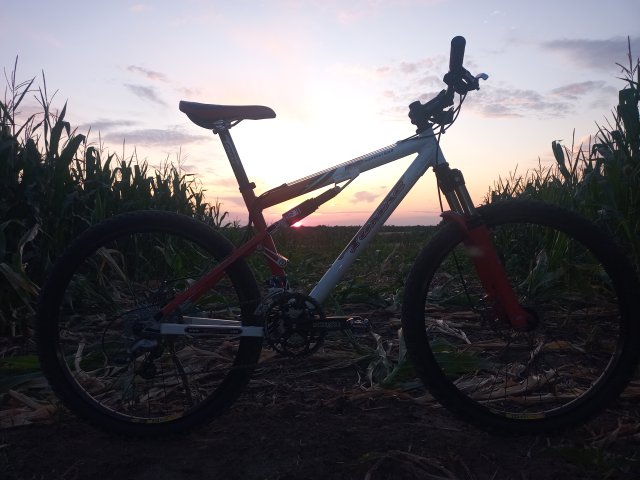 Tomac '98 Special '02 #143