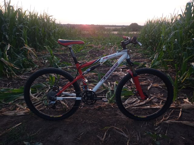 Tomac '98 Special '02 #144