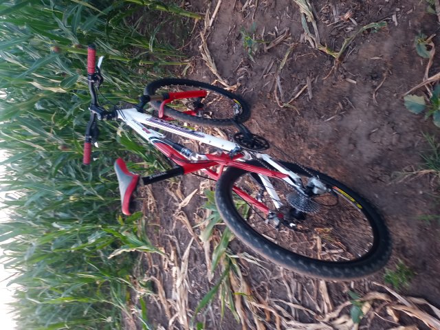 Tomac '98 Special '02 #145