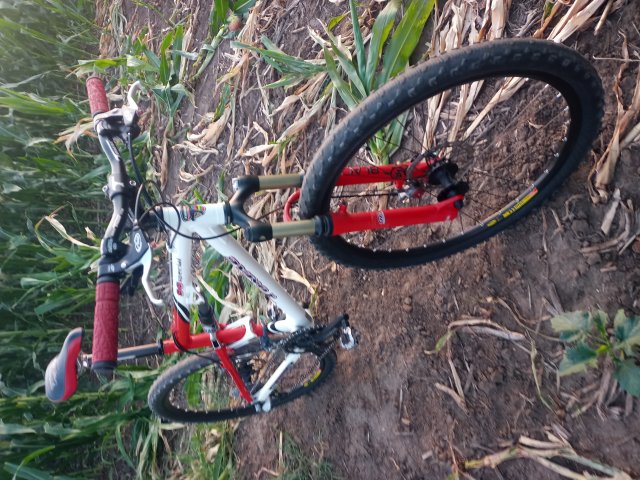 Tomac '98 Special '02 #146