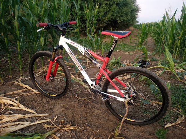 Tomac '98 Special '02 #148