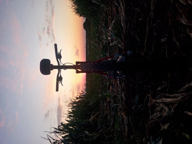 Tomac '98 Special '02 #152