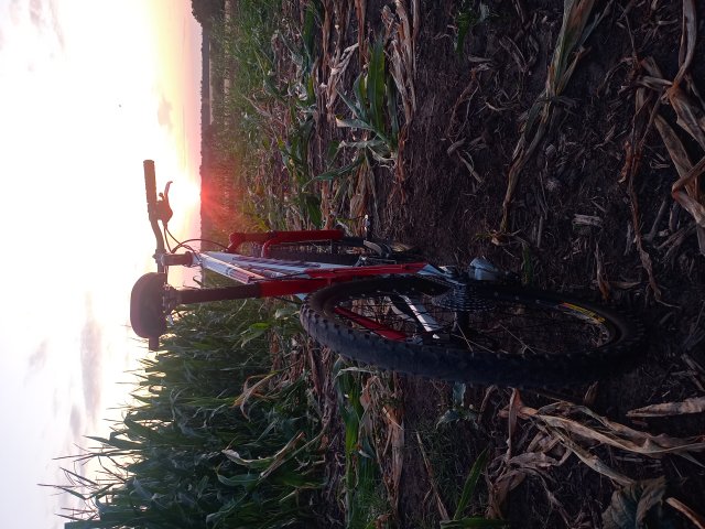 Tomac '98 Special '02 #154