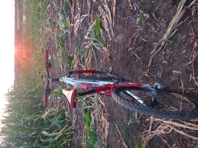 Tomac '98 Special '02 #156