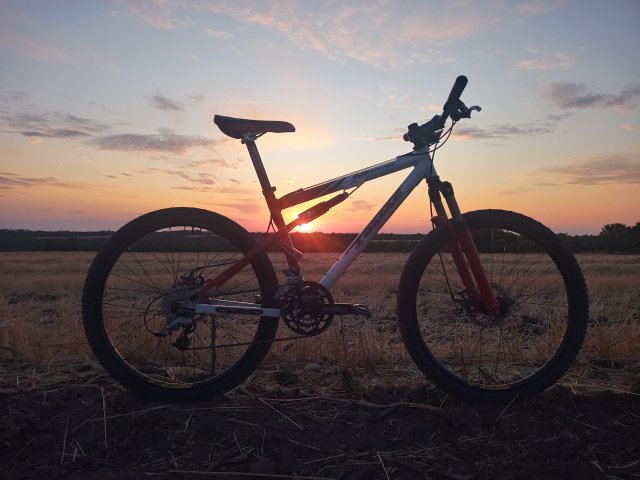 Tomac '98 Special '02 #163