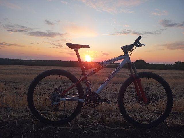 Tomac '98 Special '02 #164