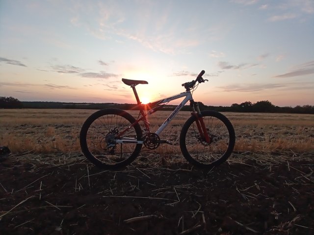 Tomac '98 Special '02 #166