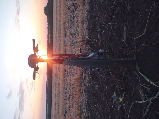 Tomac '98 Special '02 #169