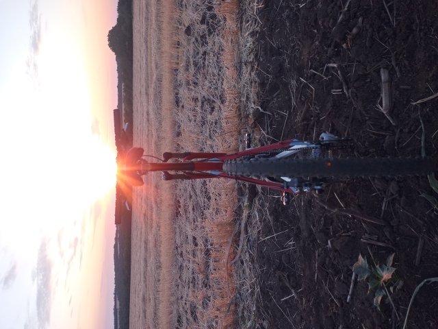 Tomac '98 Special '02 #170