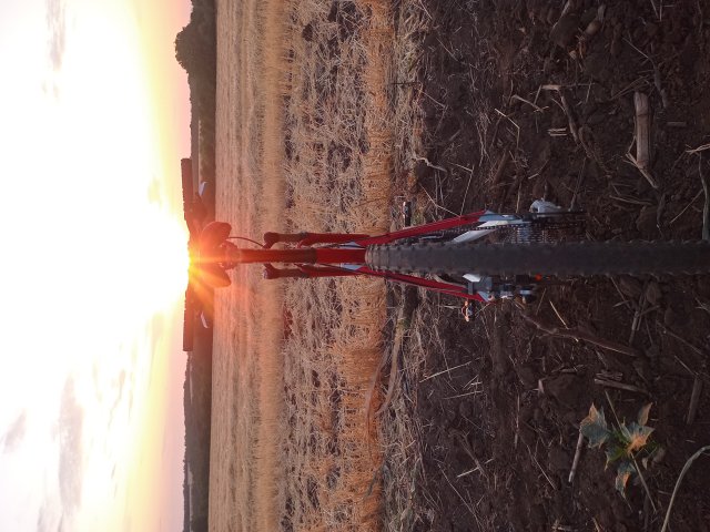 Tomac '98 Special '02 #171