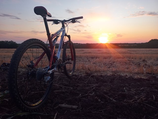 Tomac '98 Special '02 #173