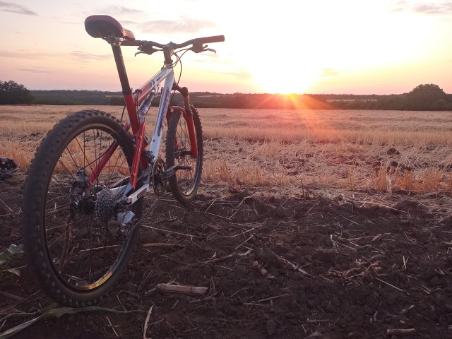 Tomac '98 Special '02 #174