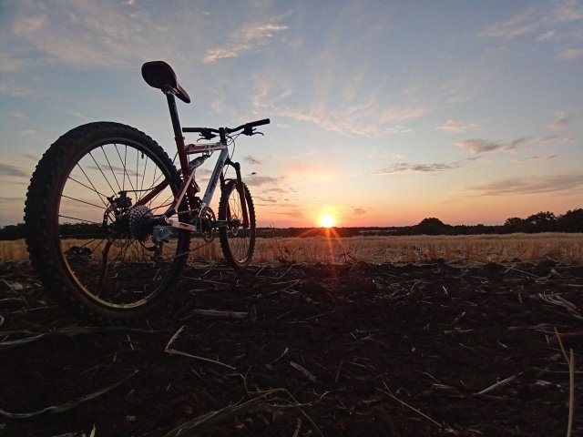 Tomac '98 Special '02 #175